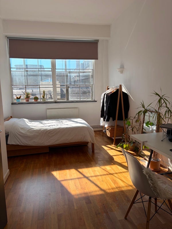 Room Shacklewell Row in Greater London