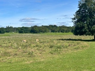 Flat Highcliffe Drive in Greater London