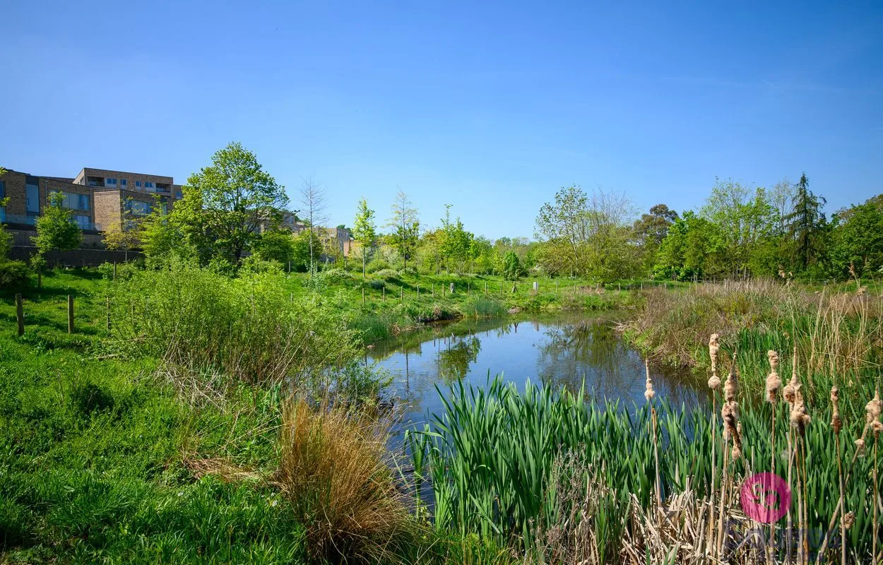 Flat Cornforth Lane in Greater London