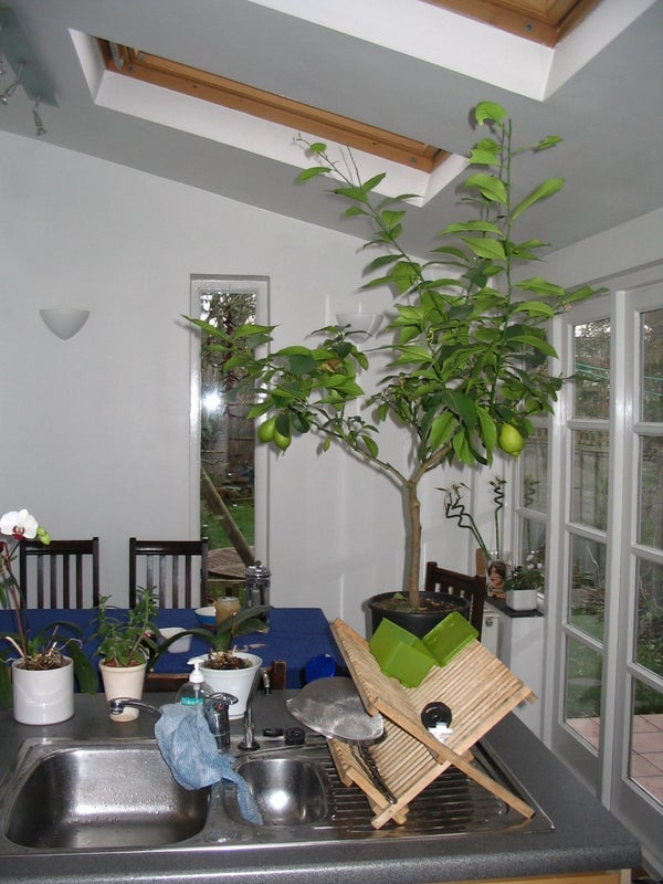Room Dorset Road in Greater London