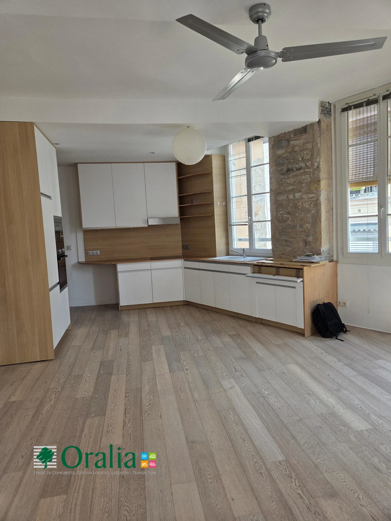 Appartement Rue Coustou à Lyon