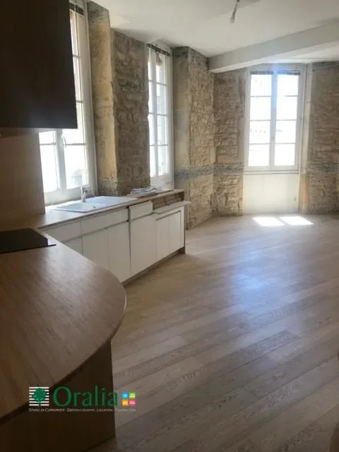 Appartement Rue Coustou à Lyon