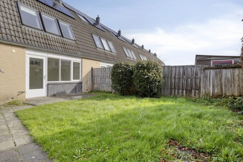 Bladmos 1 en Houten