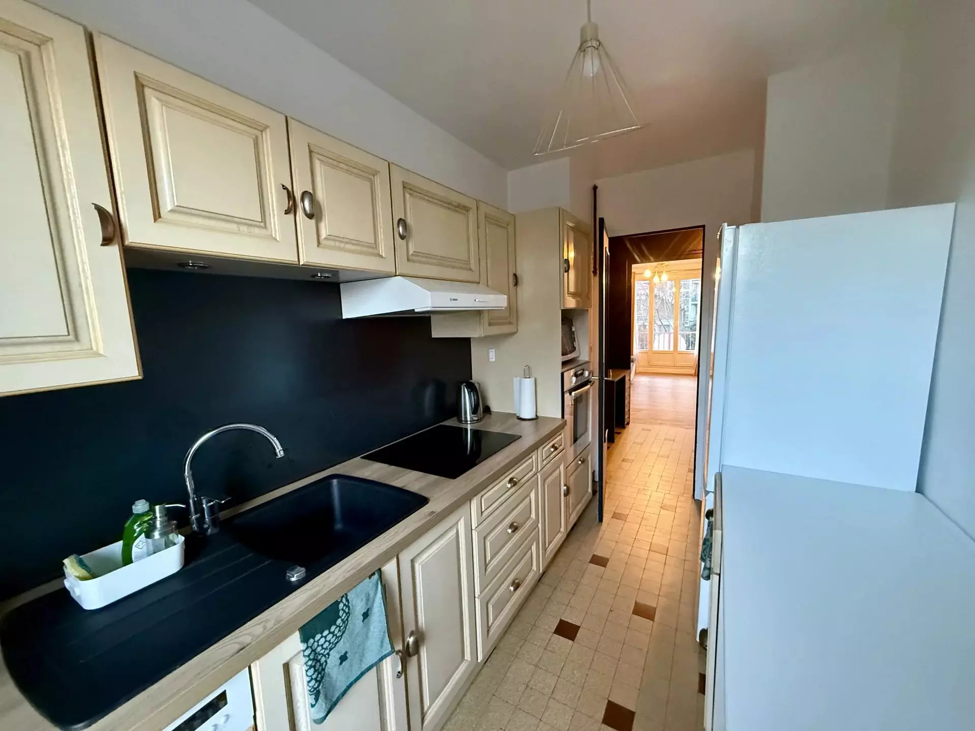 Flat Chemin Meney in Grenoble