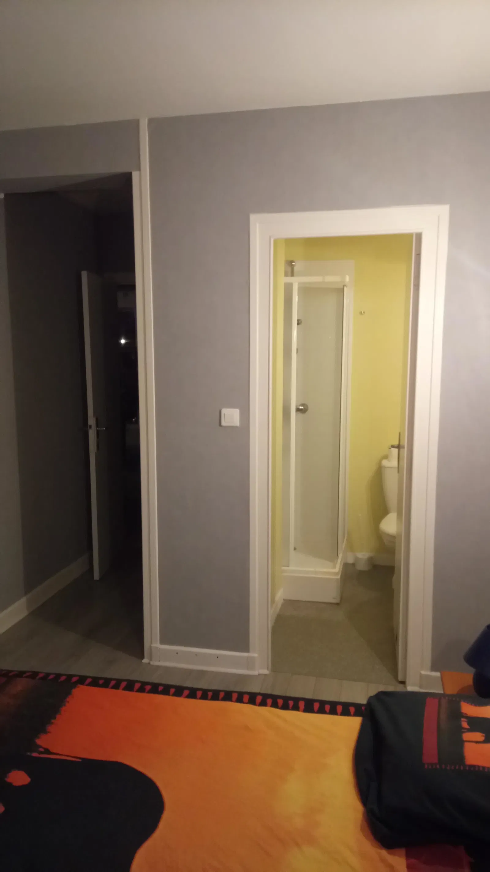 Room Rue du Lac in Châtel-Guyon