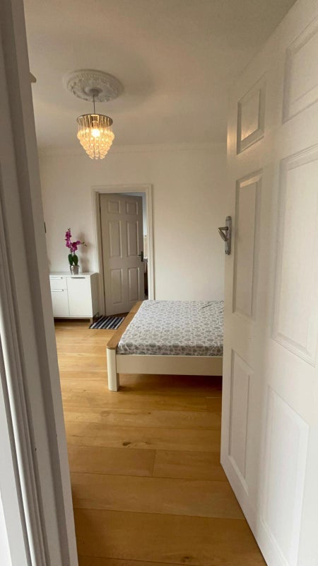 Room Acer Grove in Chelmsford