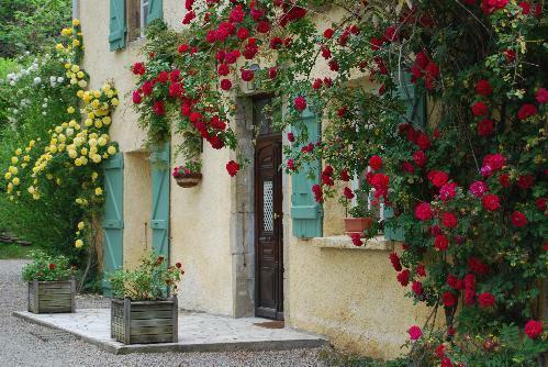 Maison D 620 à Montjardin