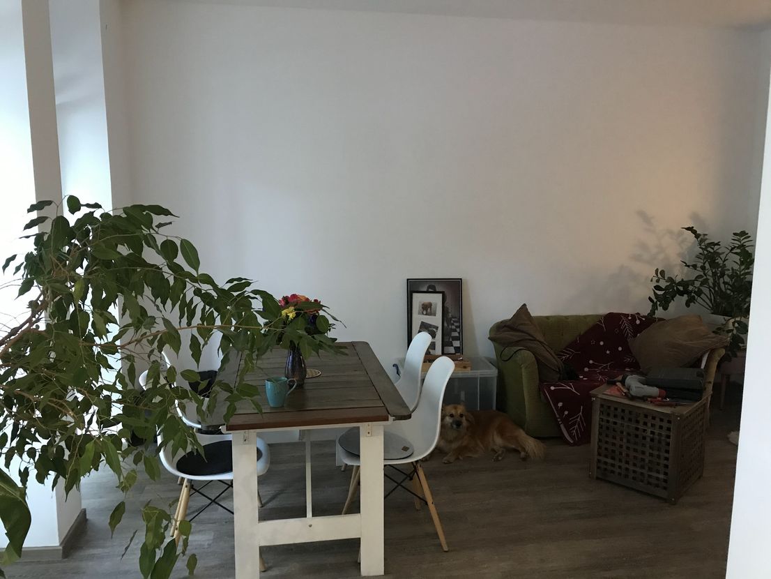 Wohnung Weißestraße in Leipzig