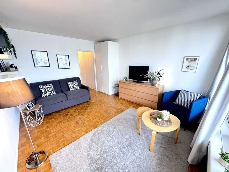 Flat Rue du Docteur Finlay in Paris