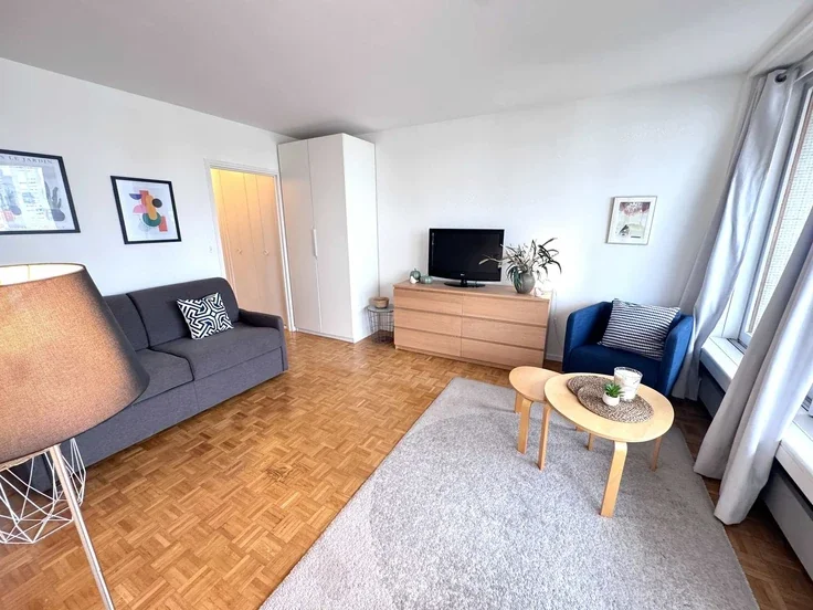 Flat Rue du Docteur Finlay in Paris