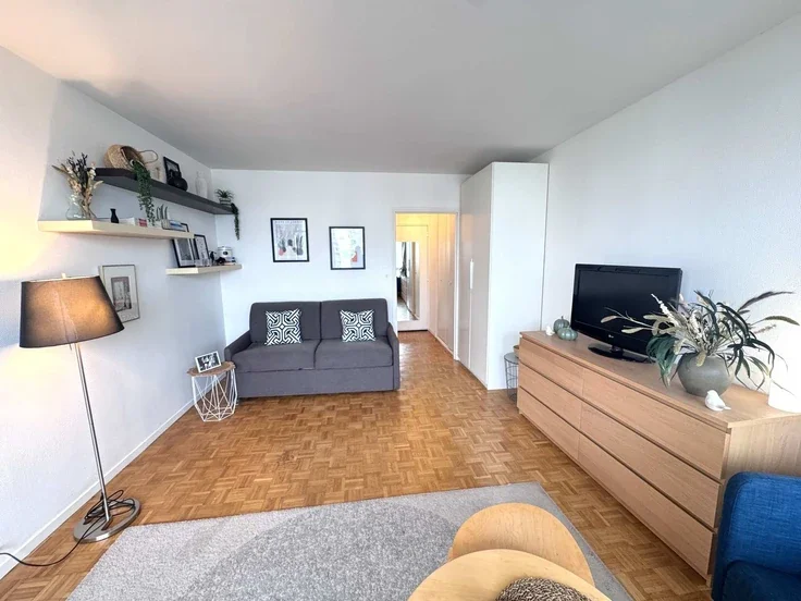 Flat Rue du Docteur Finlay in Paris