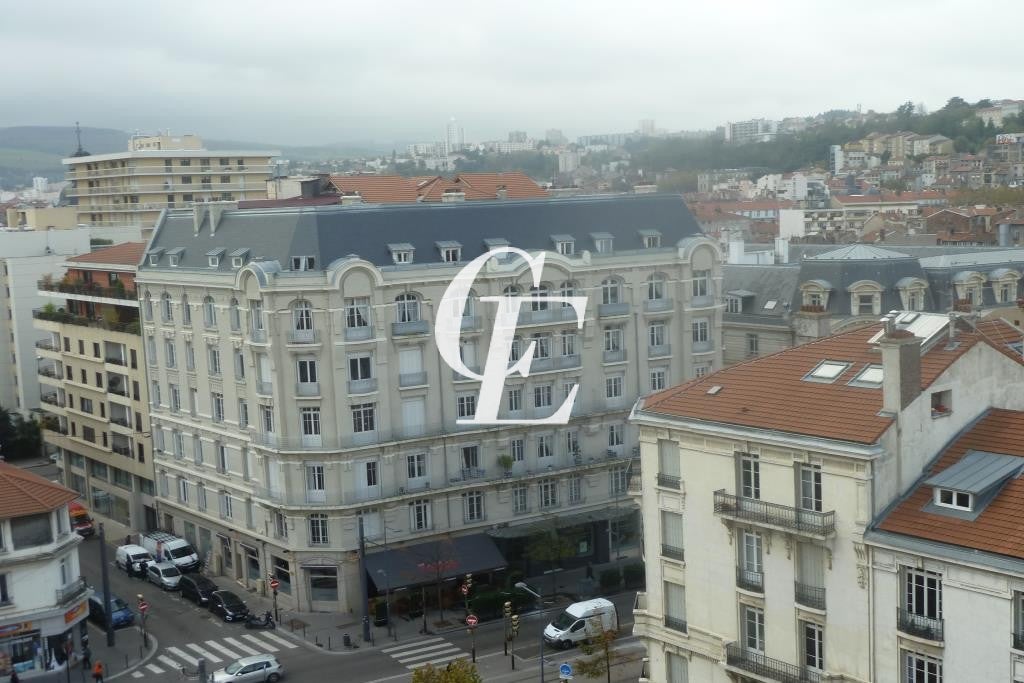 Flat Rue Marie Marvingt in Saint-Étienne