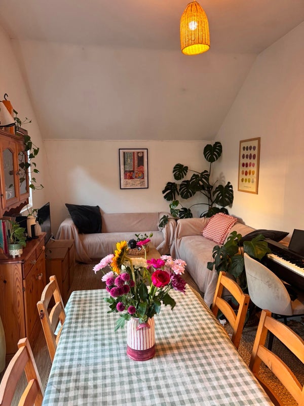 Room Paulet Road in Greater London