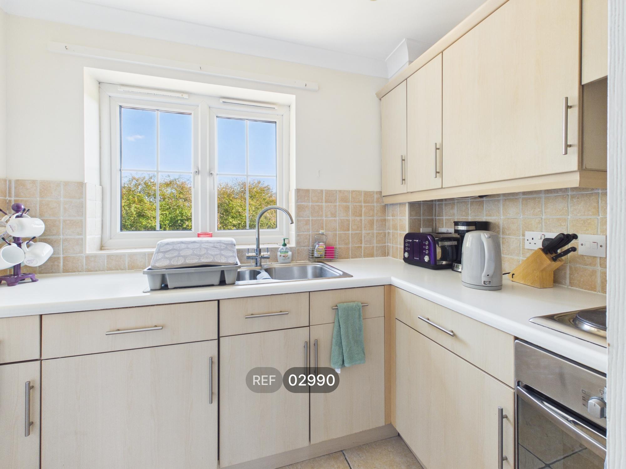 Flat Clearwing Close in Babergh