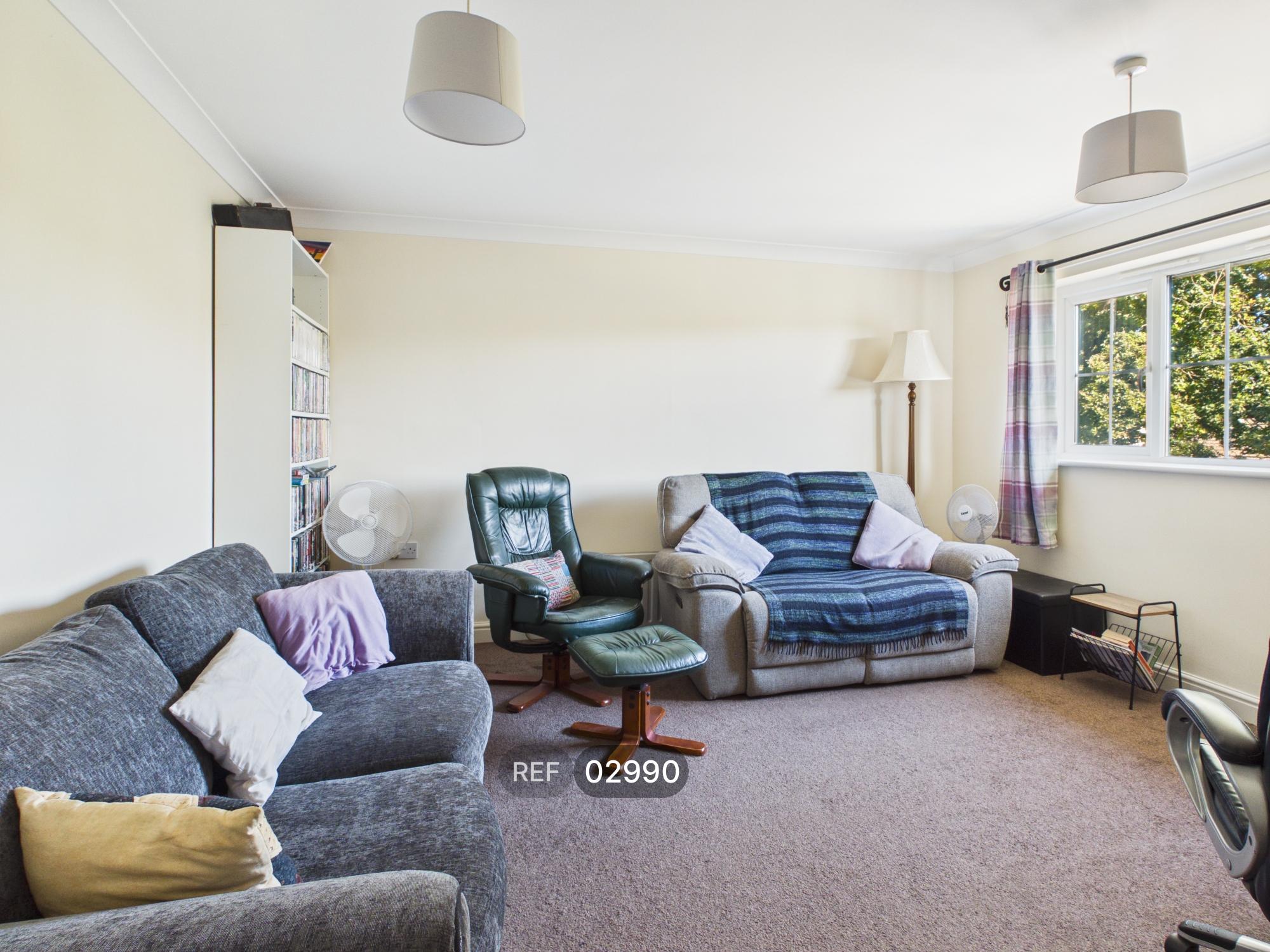 Flat Clearwing Close in Babergh