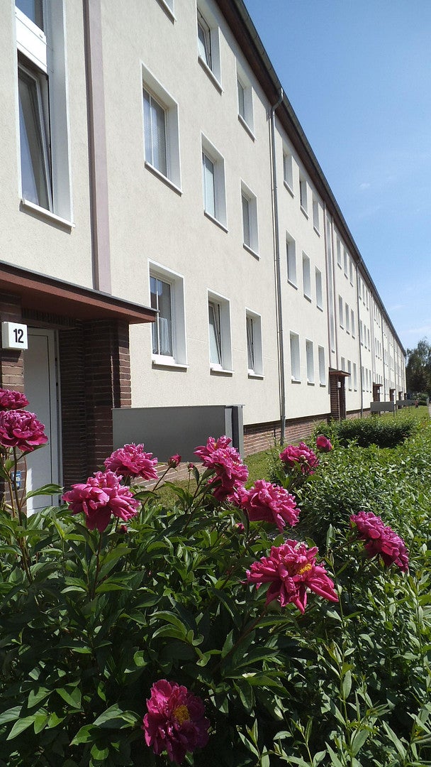 Wohnung Eisnerstraße in Magdeburg