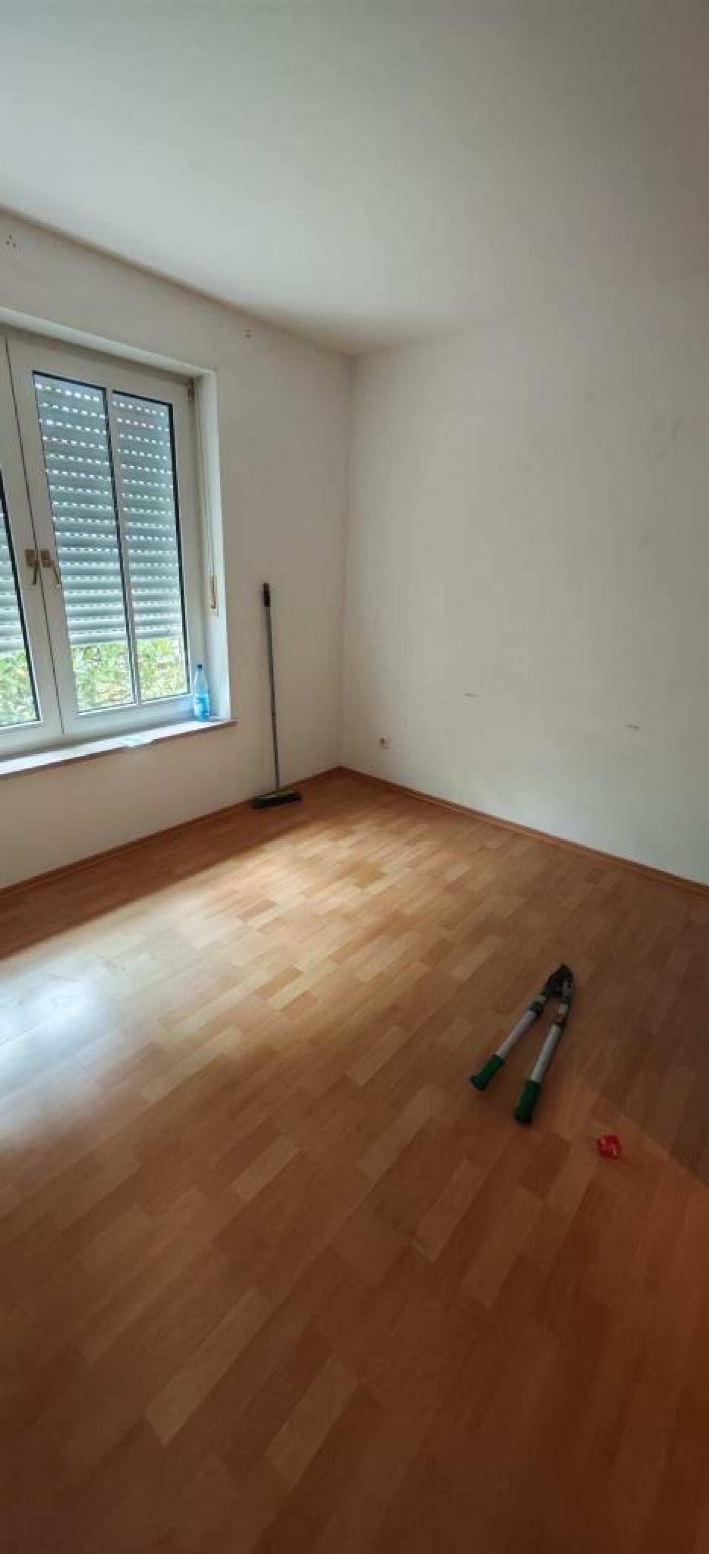 Wohnung Schlüterstraße in Dresden