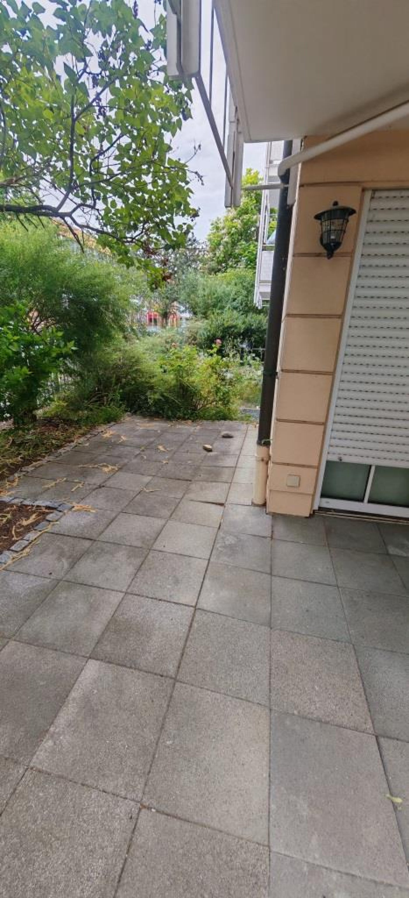 Wohnung Schlüterstraße in Dresden