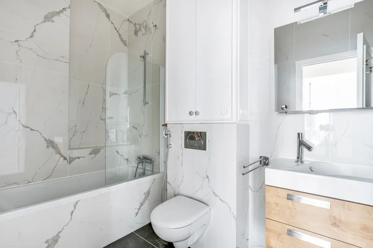 Flat Rue Marbeuf in Paris