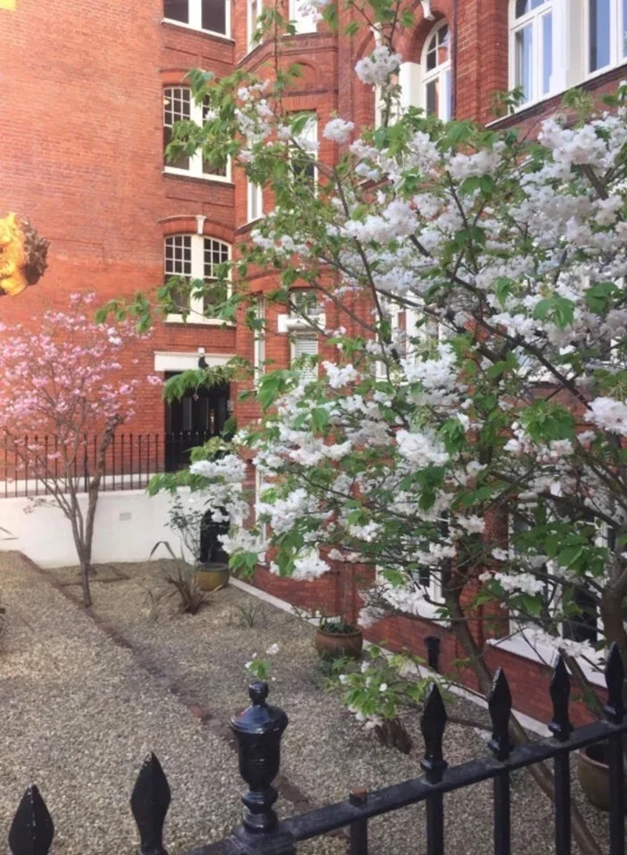 Room Hamlet Gardens in Greater London
