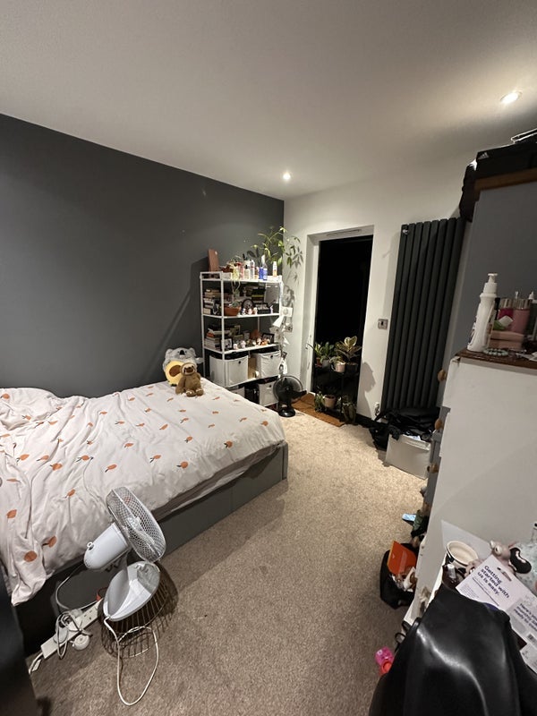Room Eardley Road in Greater London