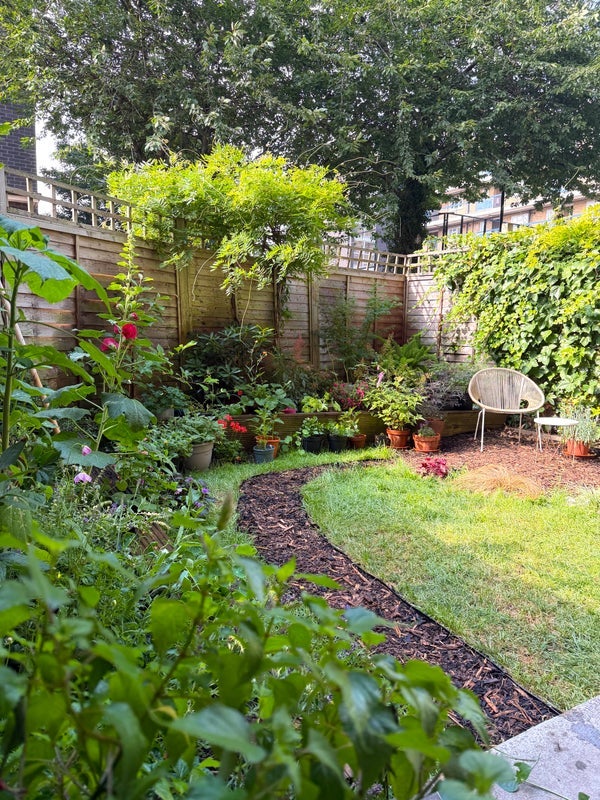 Room Amhurst Road in Greater London