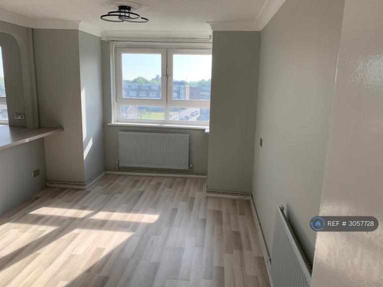 Flat Burrage Road in Greater London