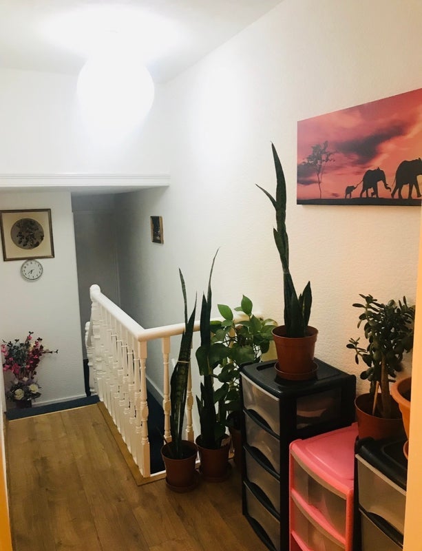 Room Elsham Road in Greater London