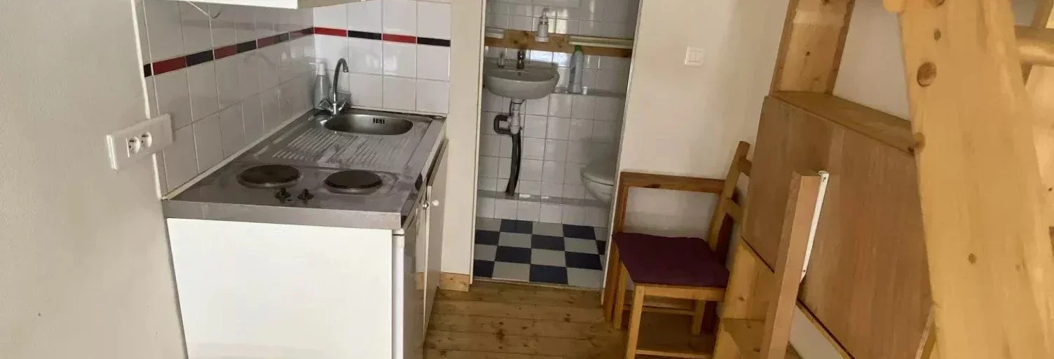 Appartement Rue du Docteur Carrier à Lyon