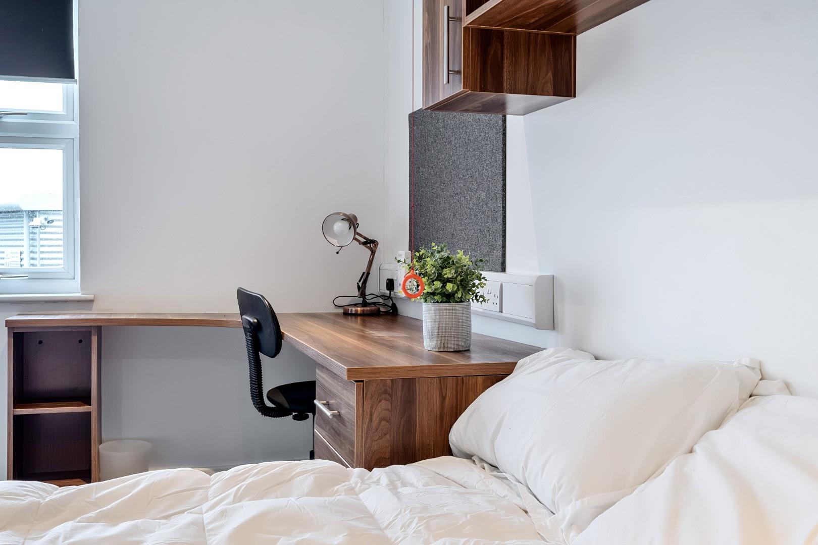 Room Plymbridge Lane in Plymouth