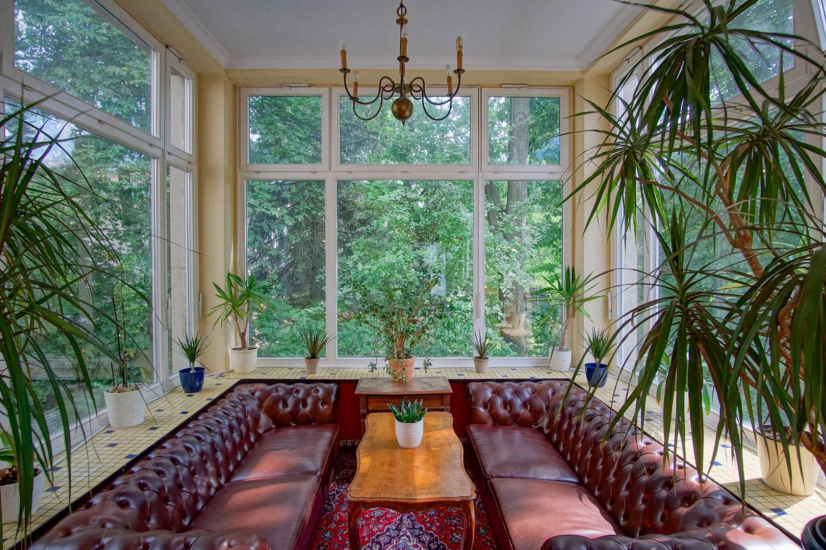 Zimmer Gräfestraße in Leipzig