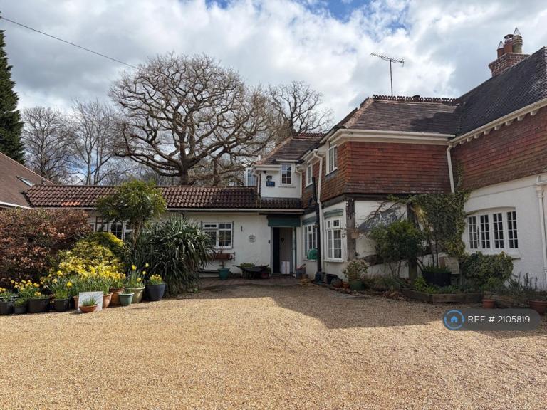 House Cat Street in Wealden