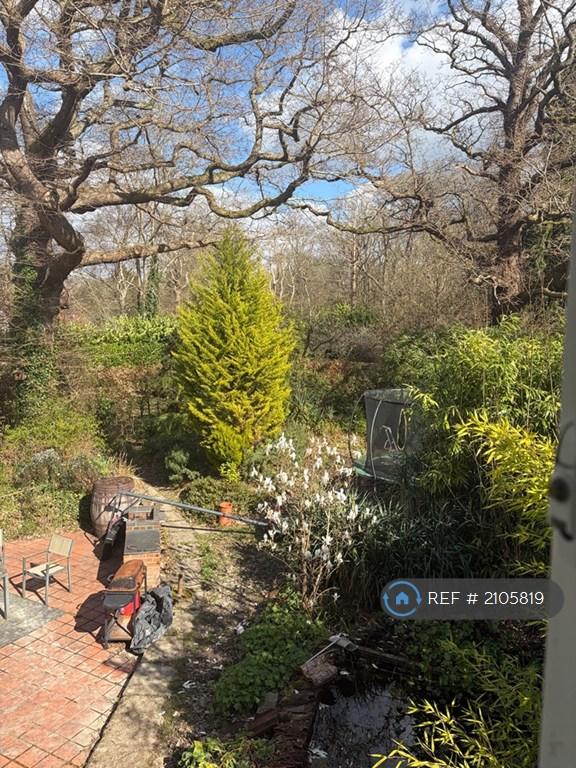 House Cat Street in Wealden