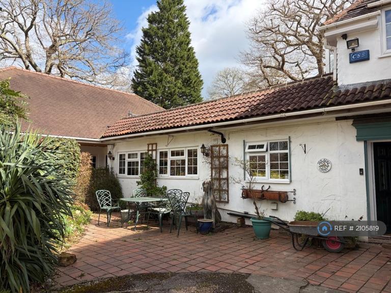 House Cat Street in Wealden