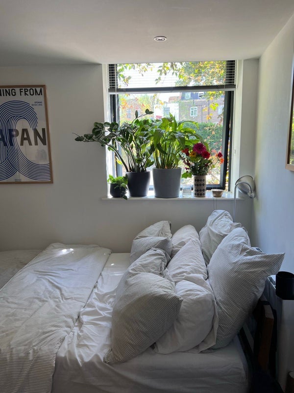 Room Dalston Lane in Greater London