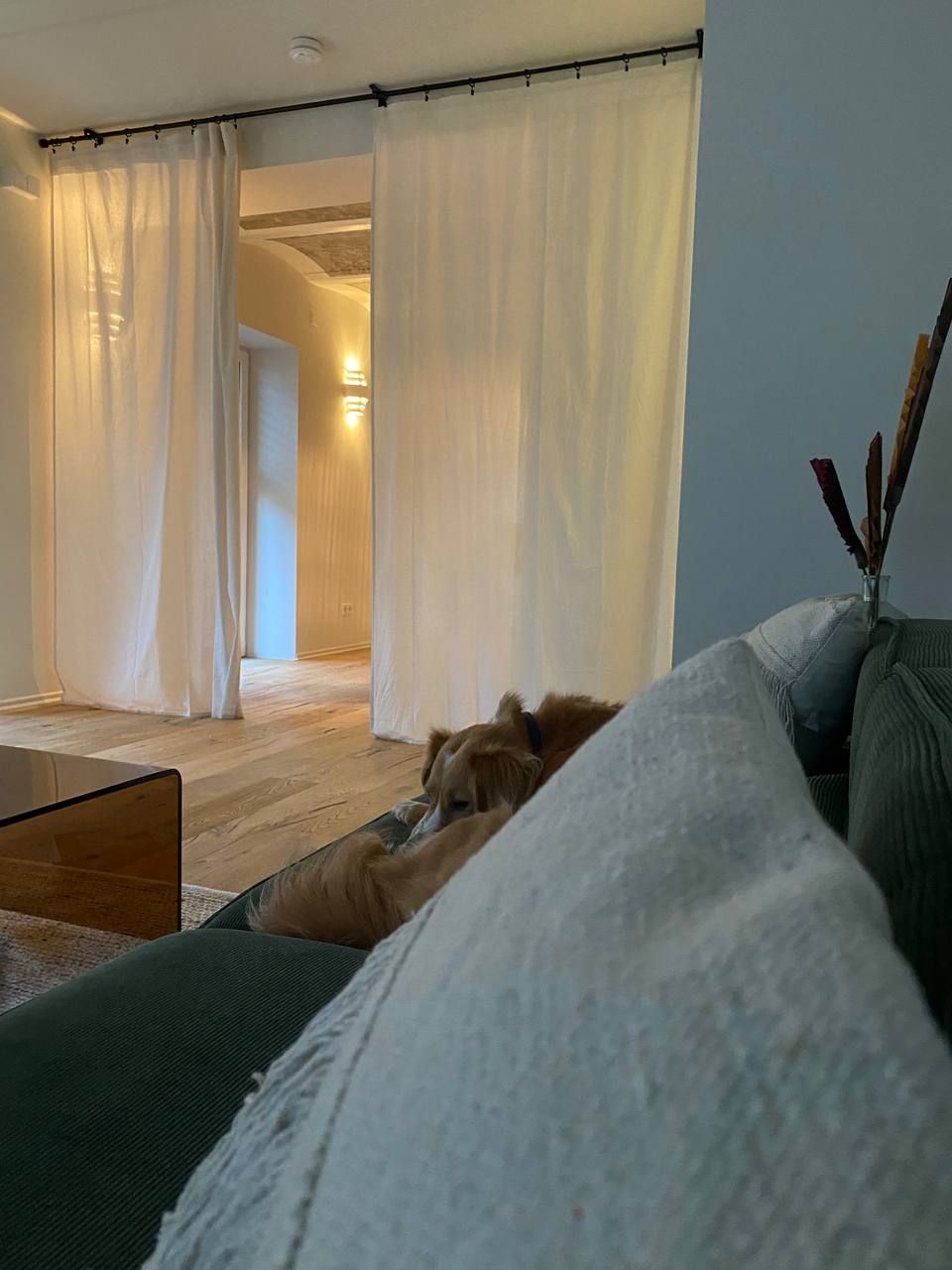 Wohnung Grazer Straße in Offenbach am Main