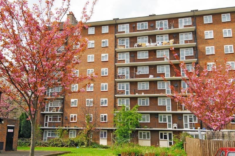 Room Beckway Street in Greater London