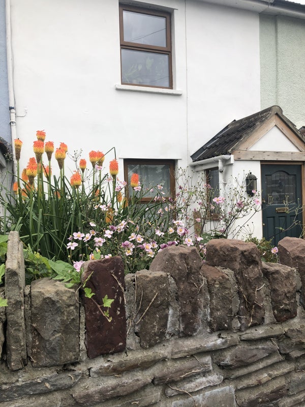 Room Grove Road in Bristol