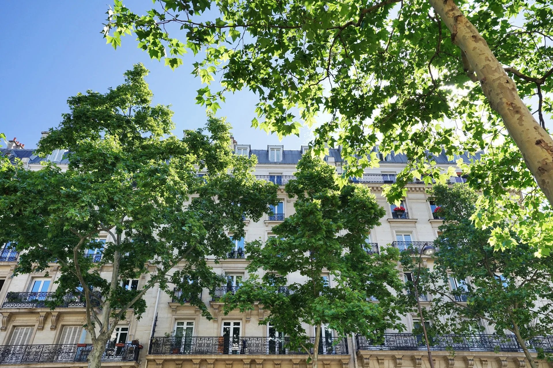 Flat Avenue du Maine in Paris