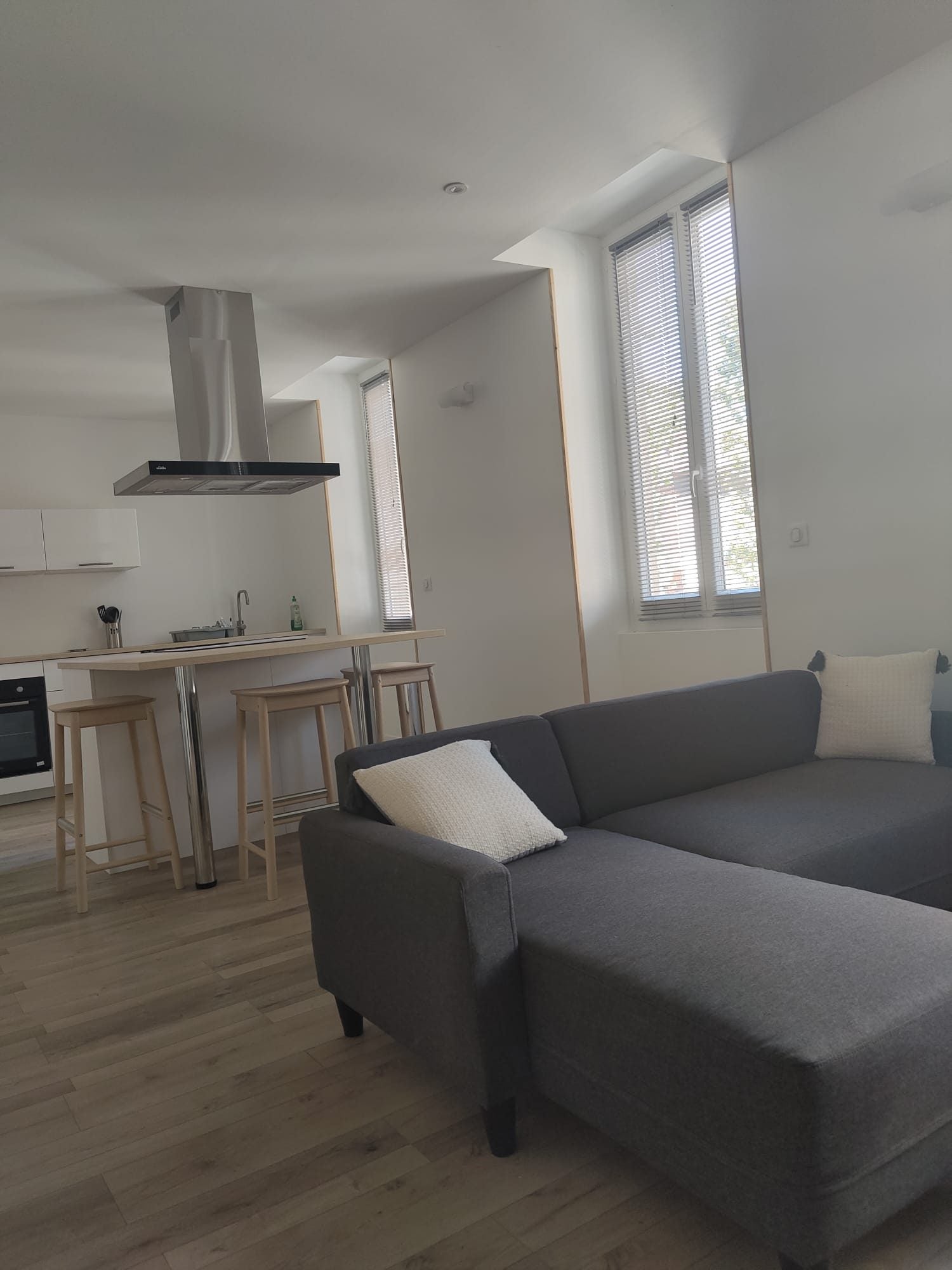 Appartement Avenue de Rochetaillée à Saint-Étienne