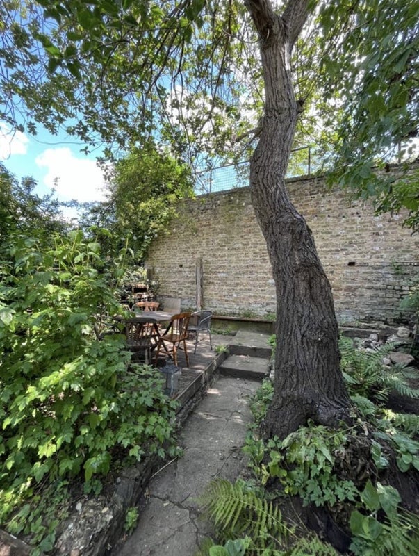Room Medora Road in Greater London