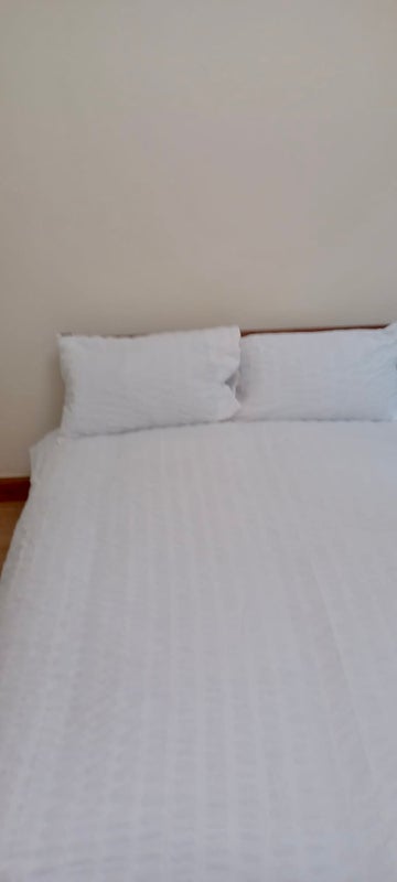 Room Brougham Street in City of Edinburgh