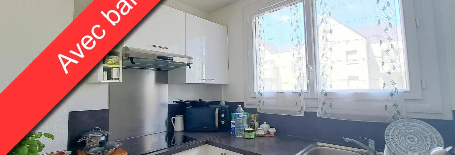 Flat Rue Louis XI in La Riche