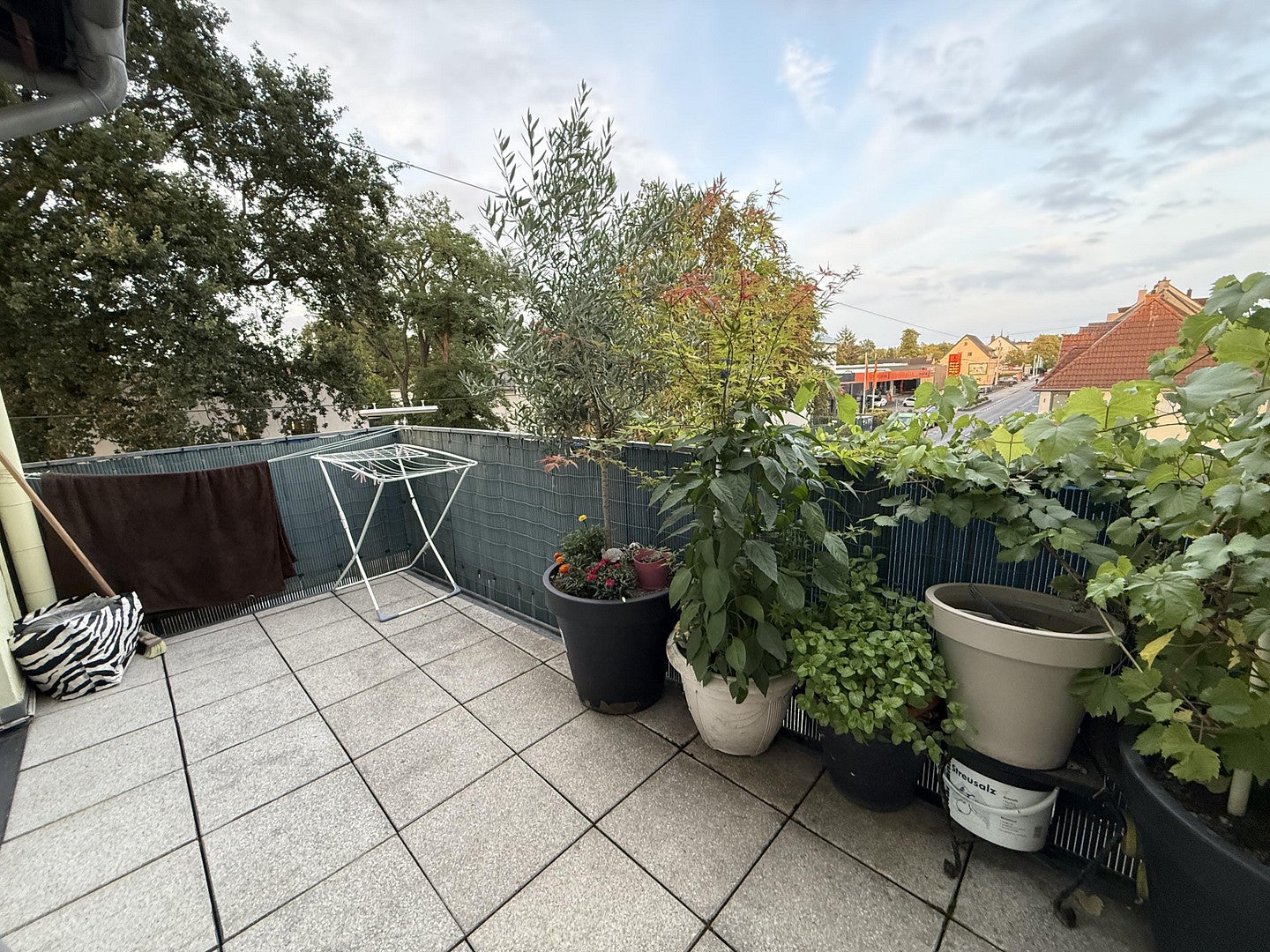 Wohnung Luisenstraße in Siegburg