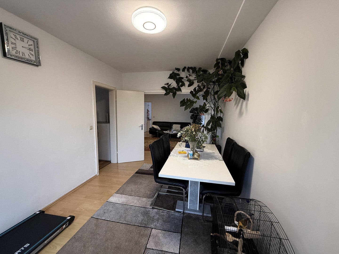 Wohnung Luisenstraße in Siegburg