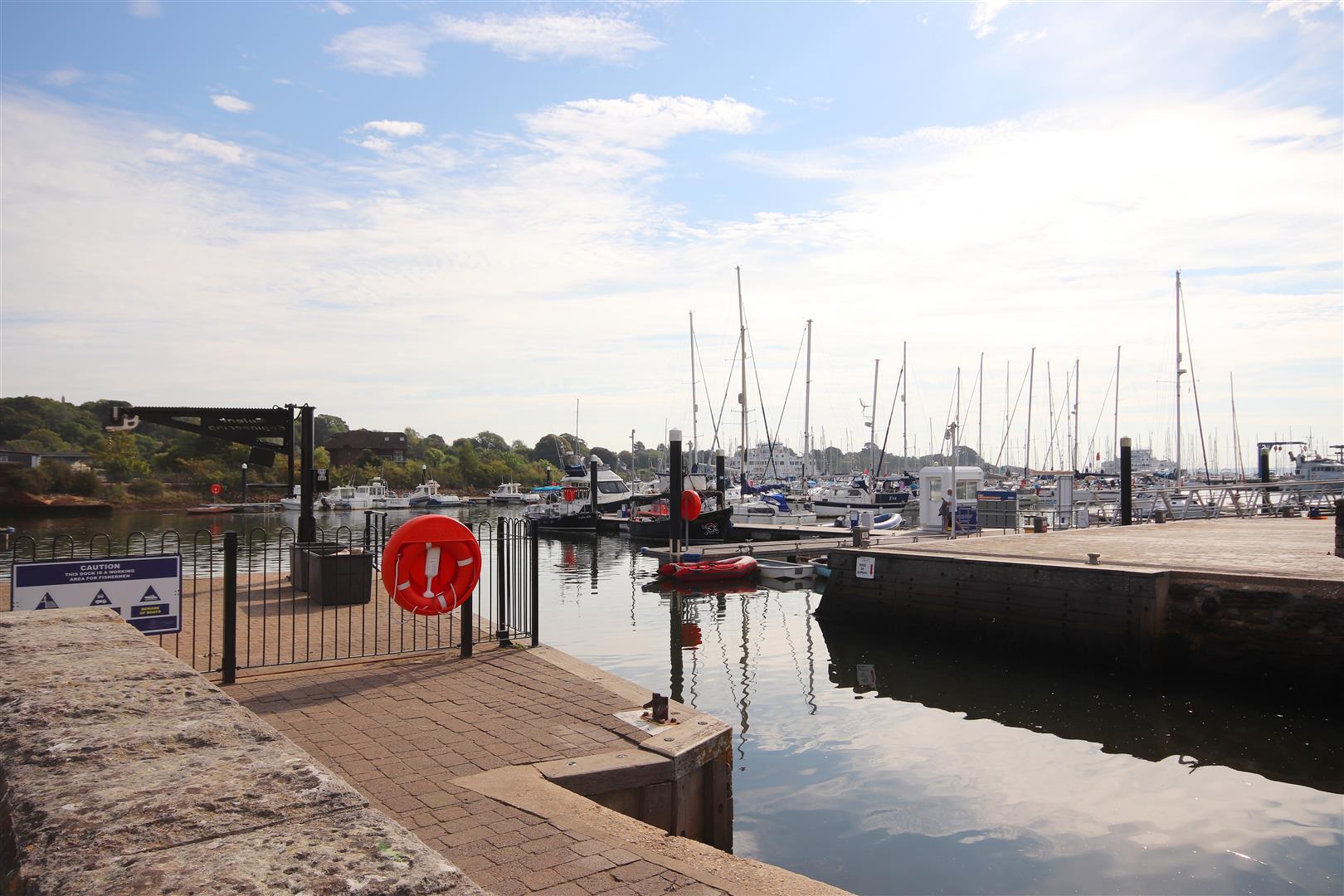 Flat Quay Street in New Forest