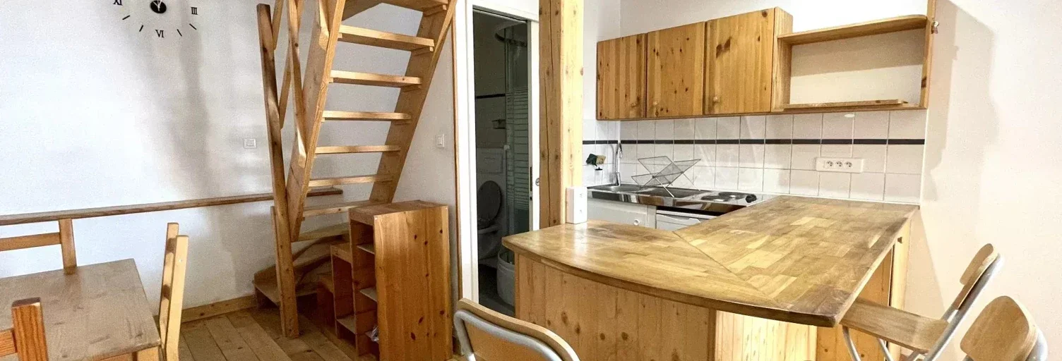 Appartement Rue du Docteur Carrier à Lyon