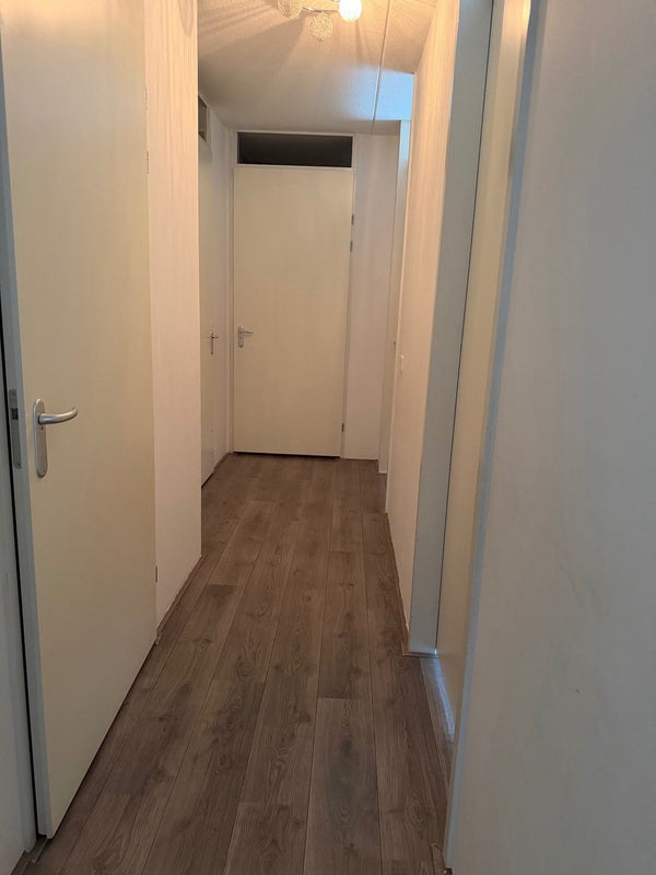 Appartement Laan van Presikhaaf 6