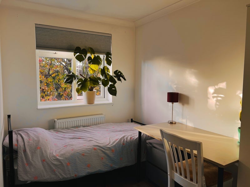 Room Palace Road in Greater London