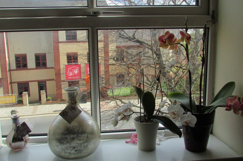 Room Pembridge Place in Greater London